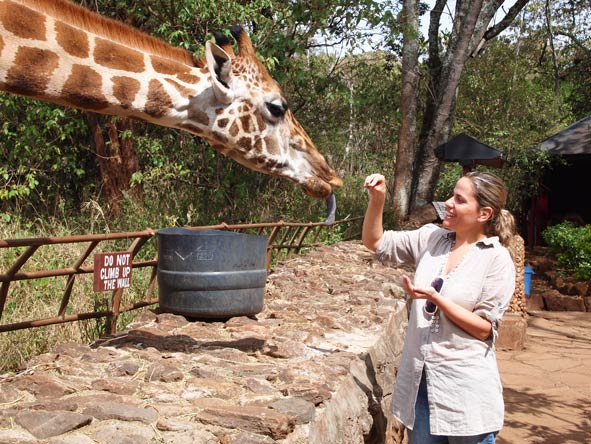 Liesel van Zyl - feeding the friendly giraffes of the Nairobi Giraffe Centre